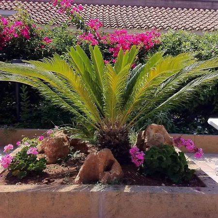 I Faraglioni Lejlighedshotel 4*